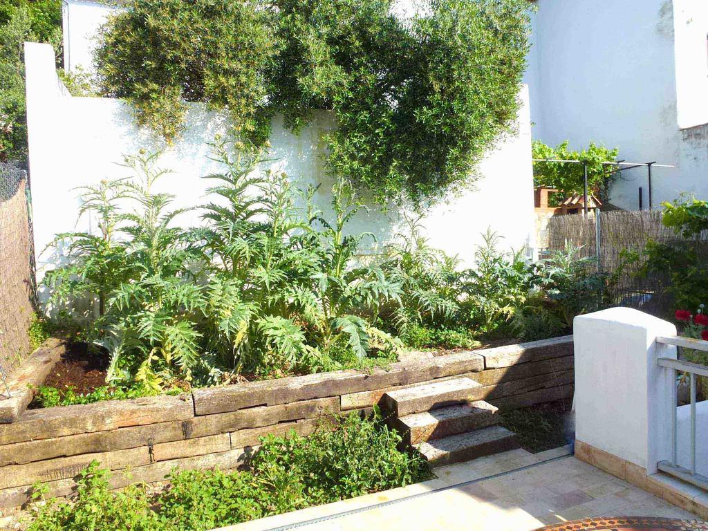 Casa Rural El Aljibe Benamahoma Exterior foto
